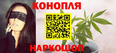 прущие крисы Шебекино