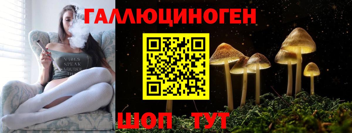 купить наркотик  Галлюциногенные грибы мухоморы  Вход с VPN  Миасс 