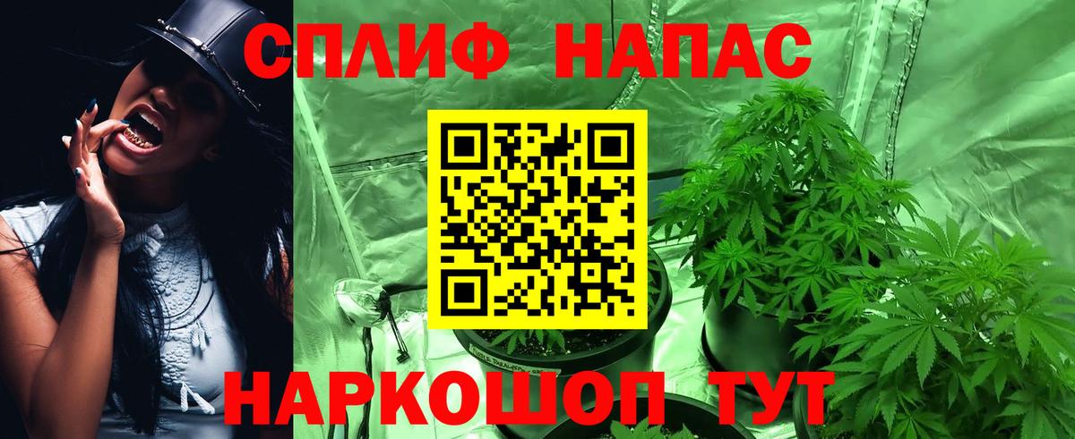 Миасс  Конопля индика  Вход с VPN  Бошки марихуана конопля 